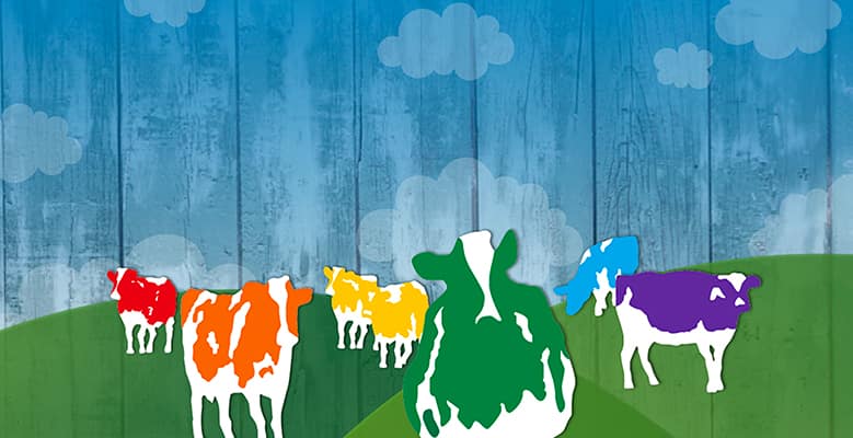 LGBTQ-_Pride-Cows-Template_1779x400.jpg